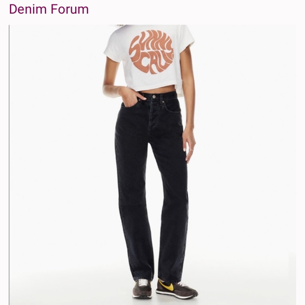 Aritzia Denim Forum distressed black jeans